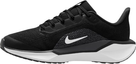 Nike Pegasus 41